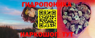 стафф Славянск-на-Кубани