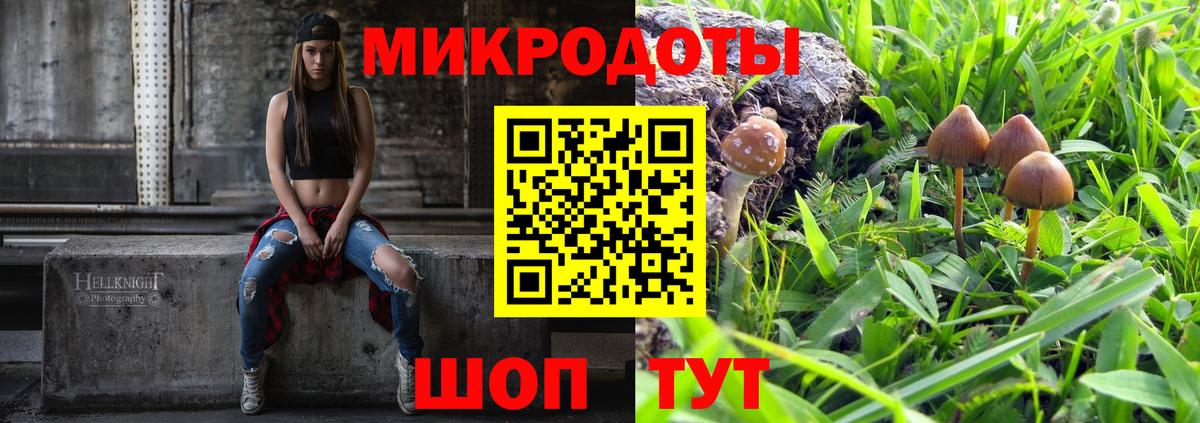 Новодвинск  Псилоцибиновые грибы Psilocybine cubensis  Вход с VPN 