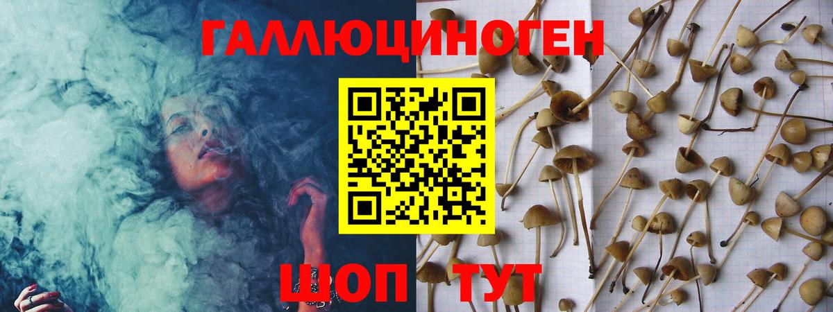 Гашиш  COCAIN  Вход с VPN  МЕФ кристаллы  МАРИХУАНА  Новодвинск  ГАШ  Меф 