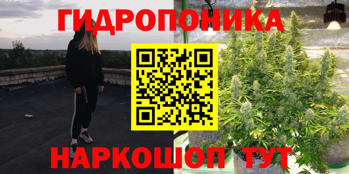Шишки марихуана VHQ  Каннабис OG Kush  Новодвинск  Вход с VPN 